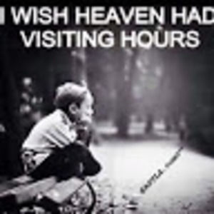 Meet your Posher, Elva